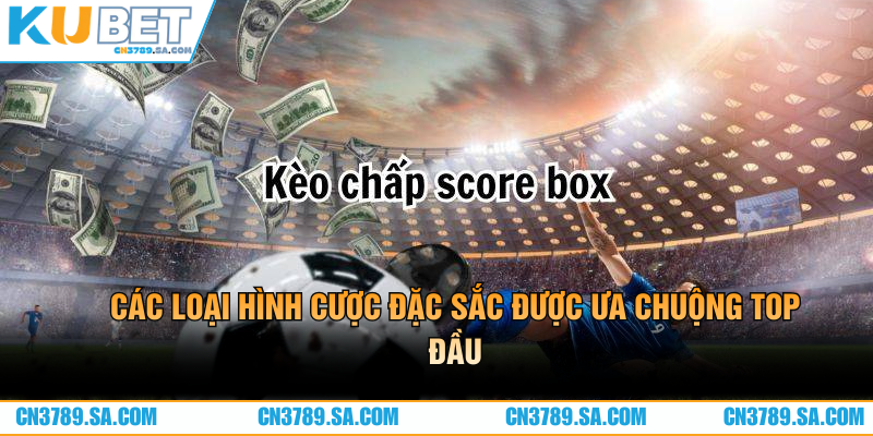 Các loại hình cược đặc sắc được ưa chuộng top đầu
