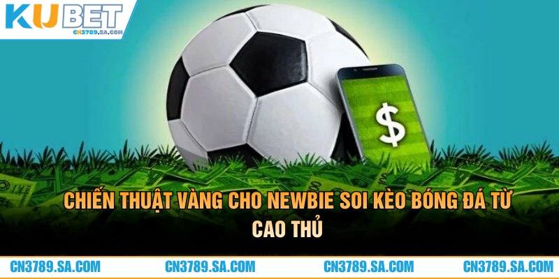 Chiến thuật vàng cho newbie soi kèo bóng đá từ cao thủ