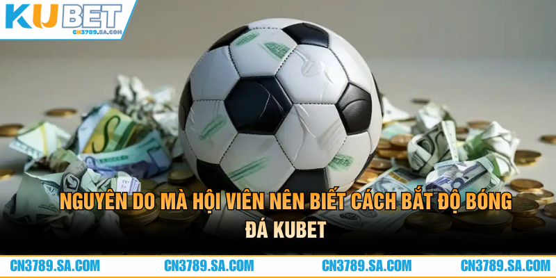 Nguyên do mà hội viên nên cách bắt bắt độ bóng đá CN3789